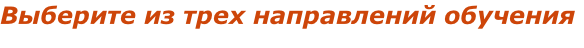 Выберите из трех направлений обучения